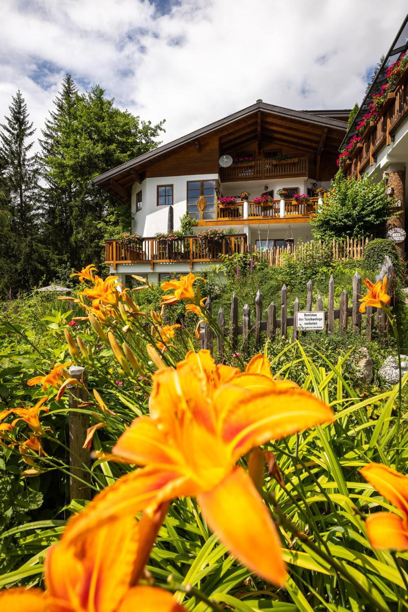 Der Lammhof - Appartements Kaswurm Wagrain Exterior foto