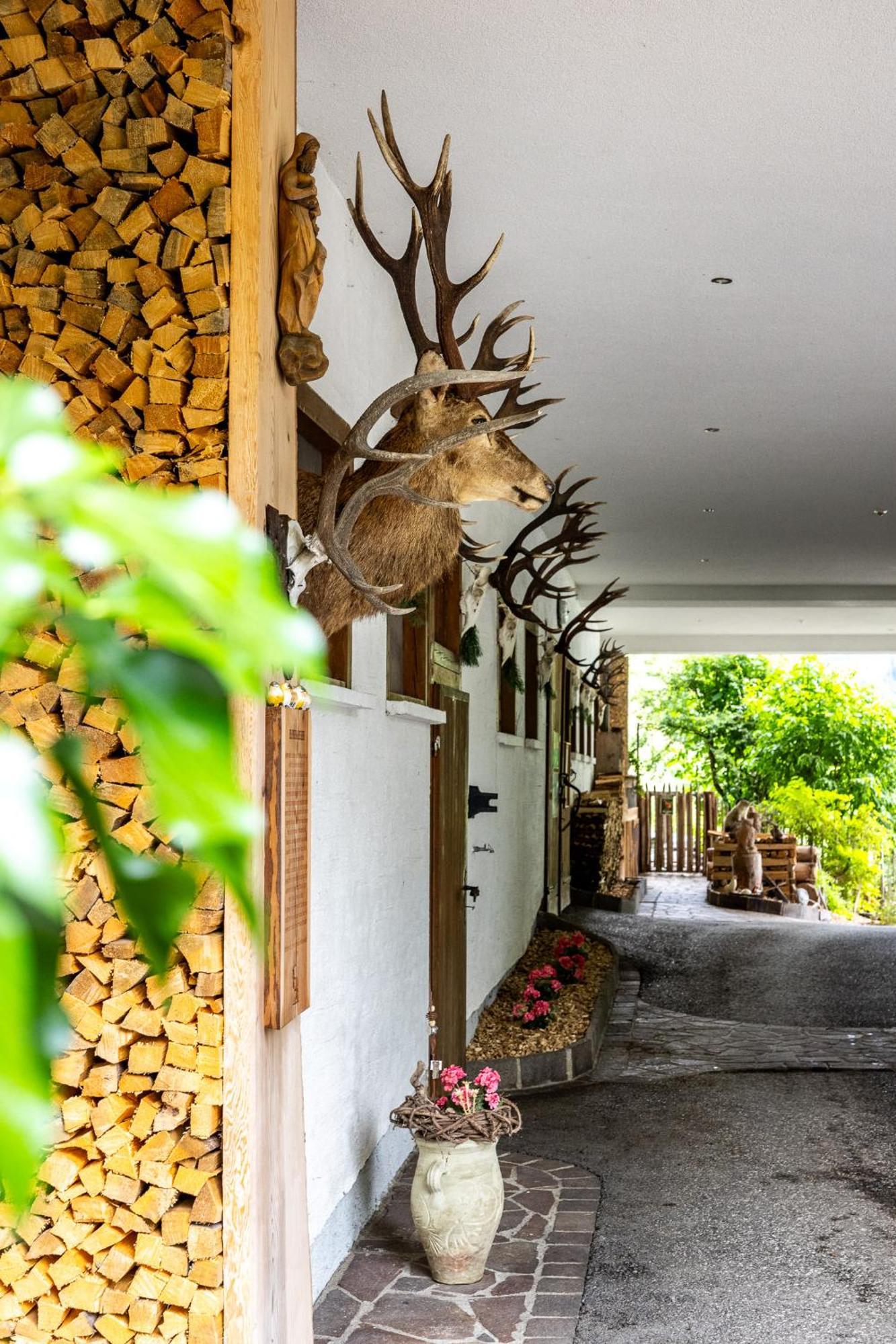 Der Lammhof - Appartements Kaswurm Wagrain Exterior foto